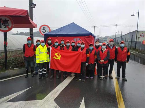 闪耀党徽，逆行战“疫”！一次特殊的主题党日活动